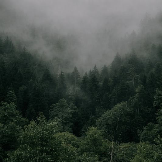 Ons milieuvriendelijk potlood